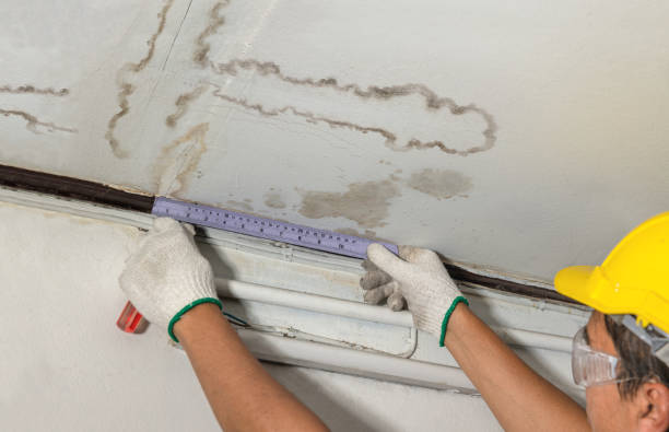 Reliable Mold Remediation contractor in Deford, MI by Local Water Damage Repair
